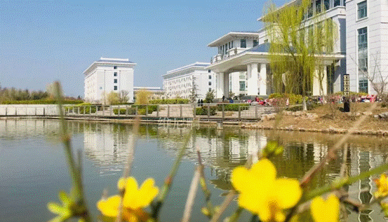 image002.gif