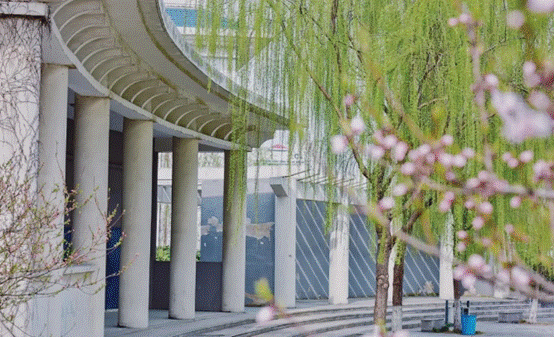 image004.gif