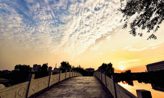 image006.gif