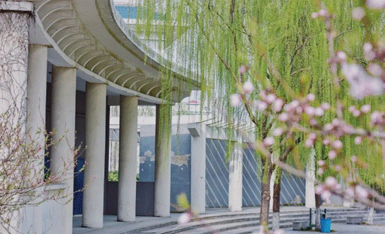 image002.gif