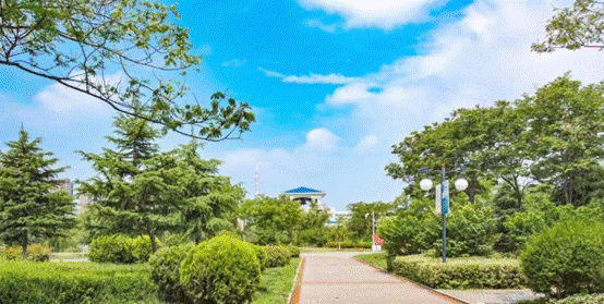 image004.gif