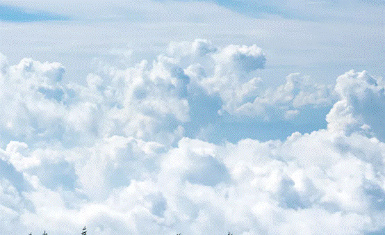 image004.gif