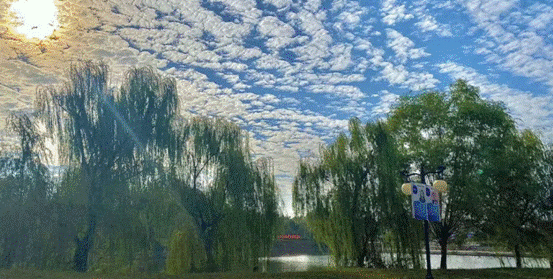 image004.gif