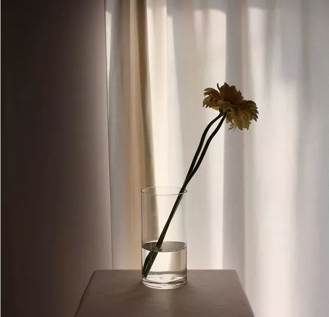 image004.gif