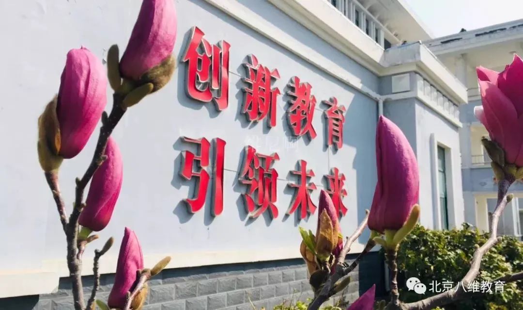 八维集团四项能力培养打造学子不可替代的职场竞争力