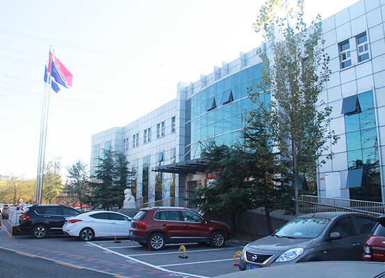 八维教育：锻造全能精英，引领未来新篇章