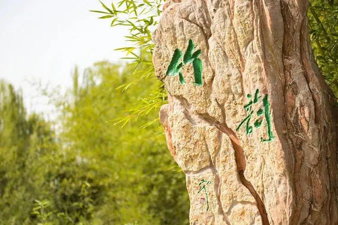技术引领未来就业市场，看清全球人才招聘趋势